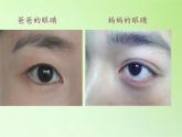 苏教版六年级科学下册 2.3 寻找遗传与变异的秘密(4)课件