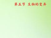 苏教版六年级科学下册 2.2 生物的变异现象(10)课件