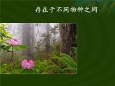 苏教版六年级科学下册 2.2 生物的变异现象(10)课件