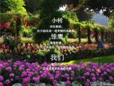 苏教版六年级科学下册 1.1 我在成长(9)课件
