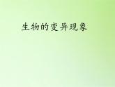苏教版六年级科学下册 2.2 生物的变异现象(15)课件