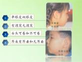 苏教版六年级科学下册 2.2 生物的变异现象(15)课件