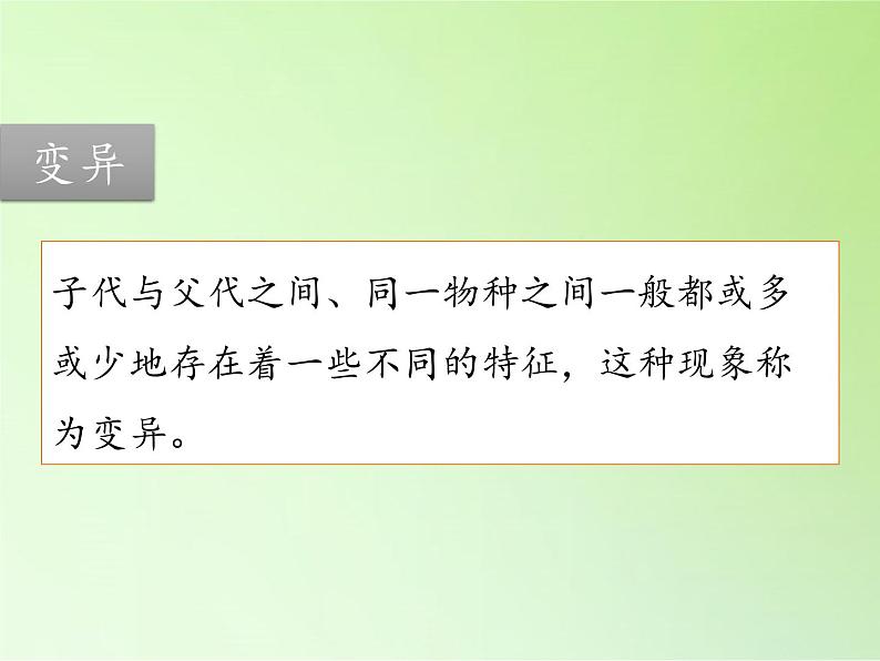 苏教版六年级科学下册 2.2 生物的变异现象(15)课件第7页