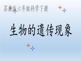 苏教版六年级科学下册 2.1 生物的遗传现象课件