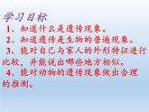 苏教版六年级科学下册 2.1 生物的遗传现象课件