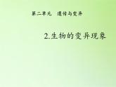 苏教版六年级科学下册 2.2 生物的变异现象(11)课件
