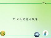 苏教版六年级科学下册 2.2 生物的变异现象(18)课件