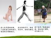 苏教版六年级科学下册 1.3 人生之旅课件