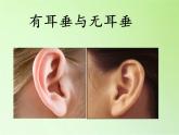 苏教版六年级科学下册 2.2 生物的变异现象(7)课件