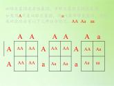 苏教版六年级科学下册 2.3 寻找遗传与变异的秘密(2)课件