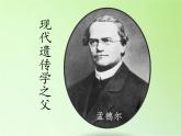 苏教版六年级科学下册 2.3 寻找遗传与变异的秘密(2)课件