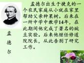 苏教版六年级科学下册 2.3 寻找遗传与变异的秘密(7)课件