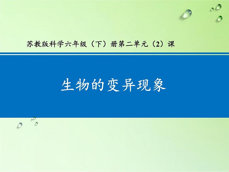 苏教版六年级科学下册 2.2 生物的变异现象课件02