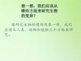 苏教版六年级科学下册 2.1 生物的遗传现象(2)课件