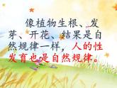 苏教版六年级科学下册 1.2 悄悄发生的变化(2)课件