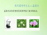 苏教版六年级科学下册 2.3 寻找遗传与变异的秘密(1)课件