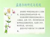 苏教版六年级科学下册 2.3 寻找遗传与变异的秘密(1)课件