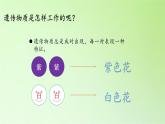 苏教版六年级科学下册 2.3 寻找遗传与变异的秘密(1)课件