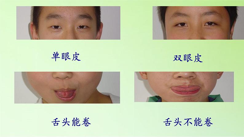 苏教版六年级科学下册 2.2 生物的变异现象(6)课件08