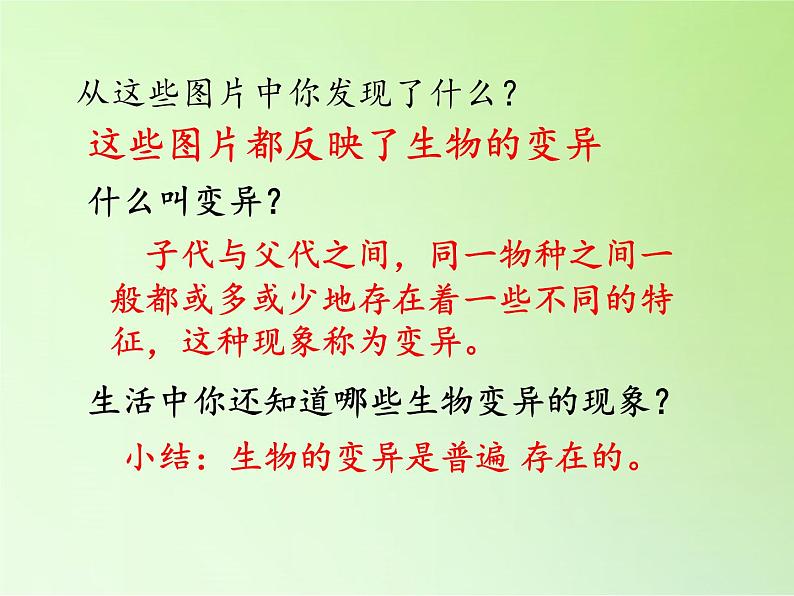 苏教版六年级科学下册 2.2 生物的变异现象(8)课件第8页