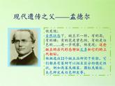 苏教版六年级科学下册 2.3 寻找遗传与变异的秘密(6)课件