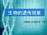 苏教版六年级科学下册 2.1 生物的遗传现象课件
