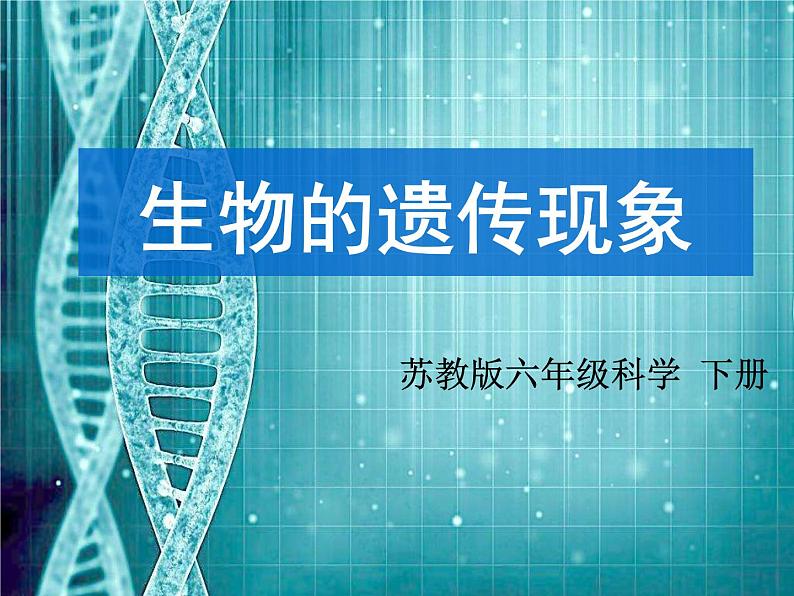 苏教版六年级科学下册 2.1 生物的遗传现象课件第1页