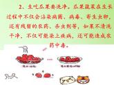 苏教版六年级科学下册 1.4 踏上健康之路(1)课件