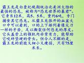 苏教版六年级科学下册 3.1 消失了的恐龙(3)课件