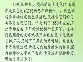 苏教版六年级科学下册 3.3 达尔文与他的“进化论”(21)课件