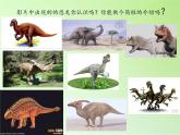 苏教版六年级科学下册 3.1 消失了的恐龙(7)课件
