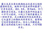 苏教版六年级科学下册 3.1 消失了的恐龙(1)课件