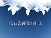 苏教版六年级科学下册 3.2.化石告诉我们什么 （上课用）(1)课件