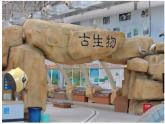 苏教版六年级科学下册 3.2.化石告诉我们什么 （上课用）(1)课件