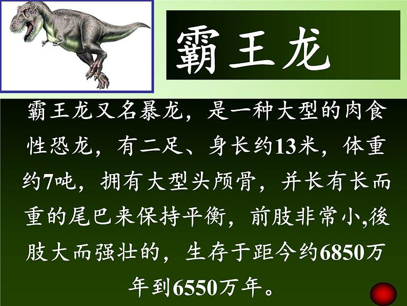 苏教版六年级科学下册 3.1 消失了的恐龙(4)课件第5页