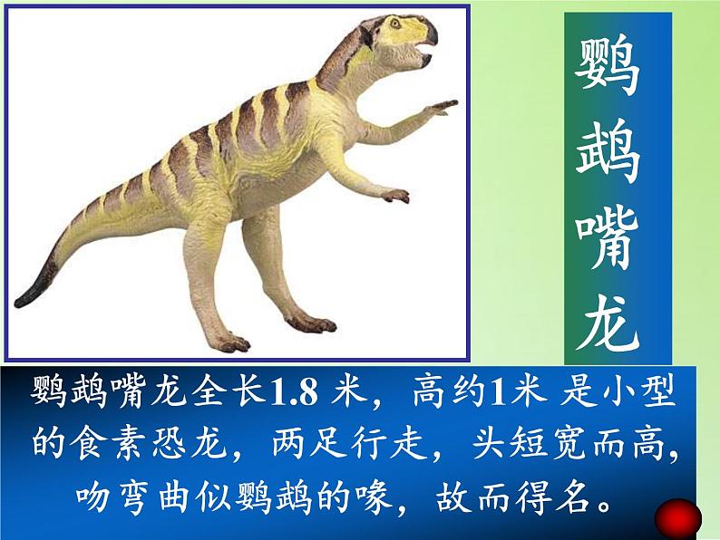 苏教版六年级科学下册 3.1 消失了的恐龙(4)课件第6页