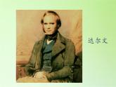 苏教版六年级科学下册 3.3 达尔文与他的“进化论”(13)课件