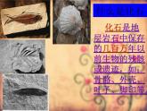 苏教版六年级科学下册 3.2. 化石告诉我们什么课件