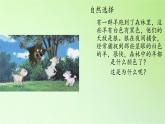 苏教版六年级科学下册 3.3 达尔文与他的“进化论”(14)课件