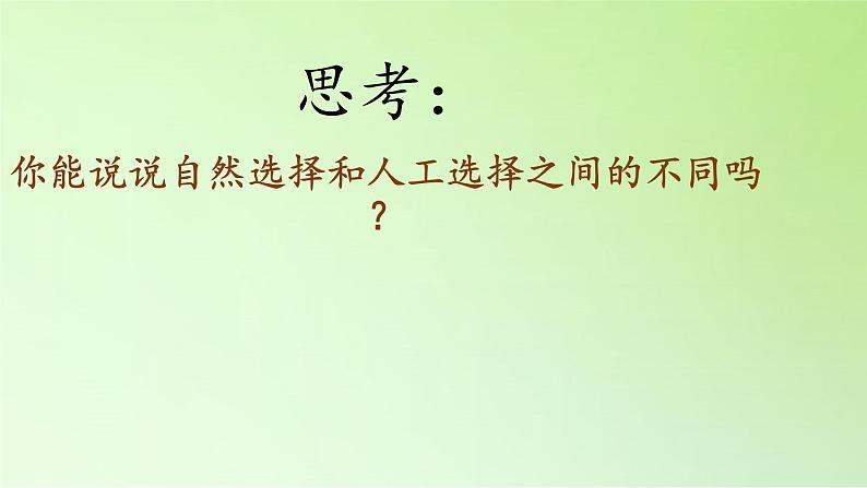 苏教版六年级科学下册 3.3 达尔文与他的“进化论”(14)课件第5页