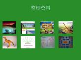 苏教版六年级科学下册 3.1 消失了的恐龙课件