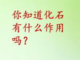 苏教版六年级科学下册 3.2 化石告诉我们什么(1)课件