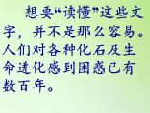苏教版六年级科学下册 3.2 化石告诉我们什么(1)课件