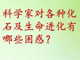 苏教版六年级科学下册 3.2 化石告诉我们什么(1)课件