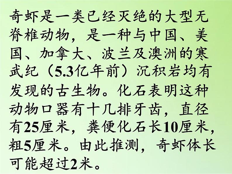 苏教版六年级科学下册 3.2 化石告诉我们什么(1)课件07