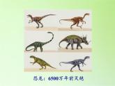 苏教版六年级科学下册 3.3 达尔文与他的“进化论”(15)课件