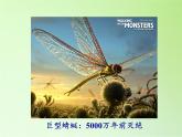 苏教版六年级科学下册 3.3 达尔文与他的“进化论”(11)课件