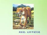 苏教版六年级科学下册 3.3 达尔文与他的“进化论”(11)课件