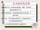 苏教版六年级科学下册 3.2 化石告诉我们什么(2)课件