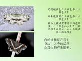 苏教版六年级科学下册 3.3 达尔文与他的“进化论”(18)课件